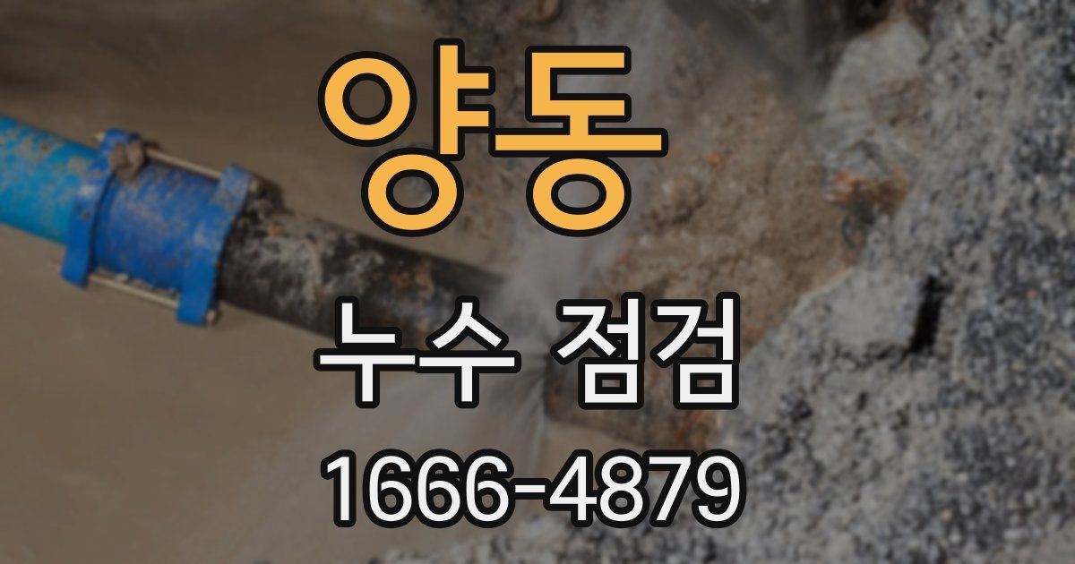 양동 누수 점검
