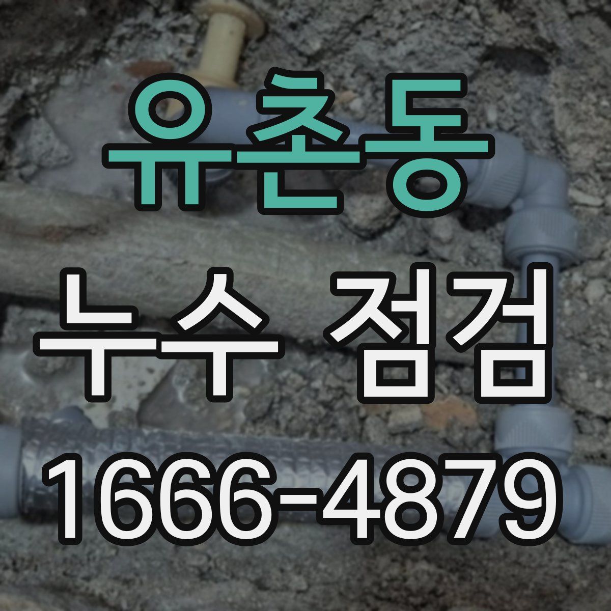 유촌동 누수 점검