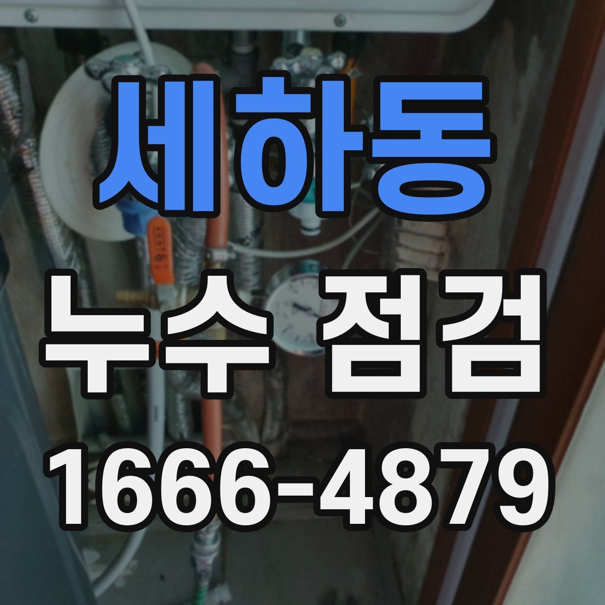 세하동 누수 점검