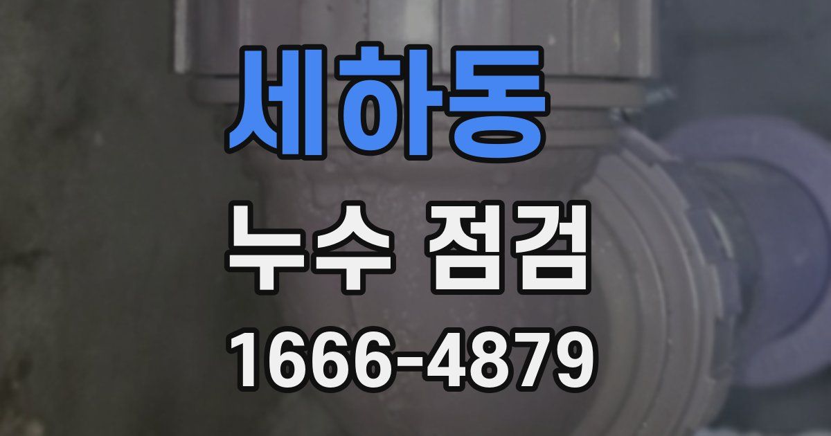 세하동 누수 점검