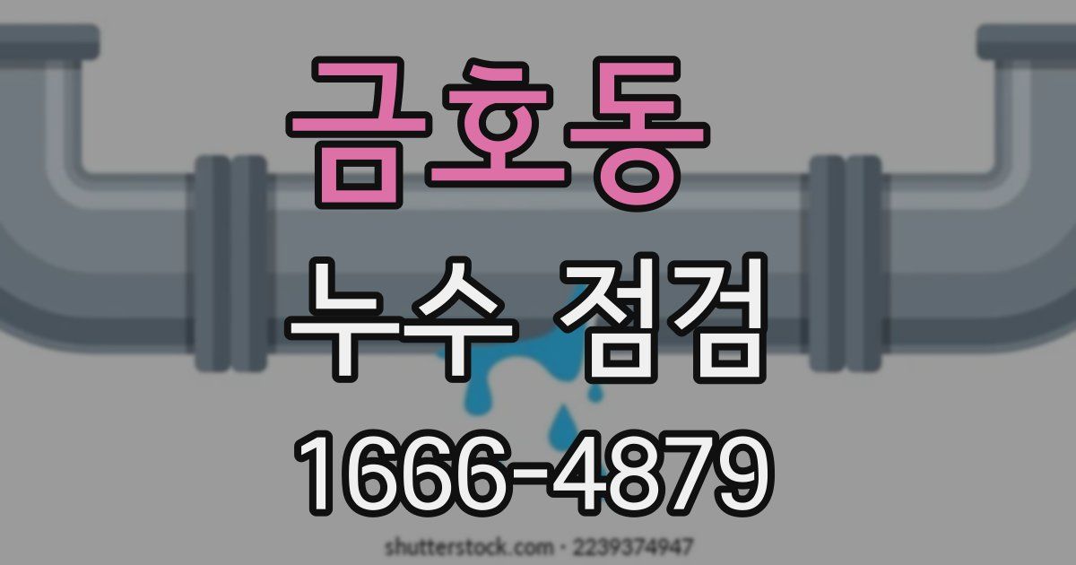 금호동 누수 점검