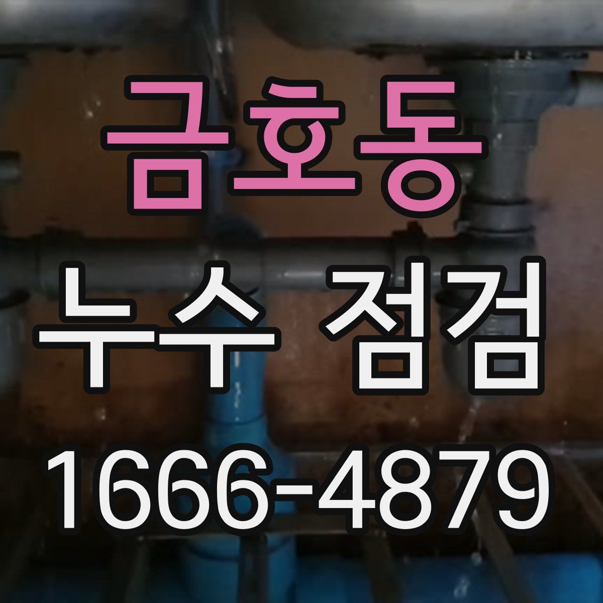 금호동 누수 점검