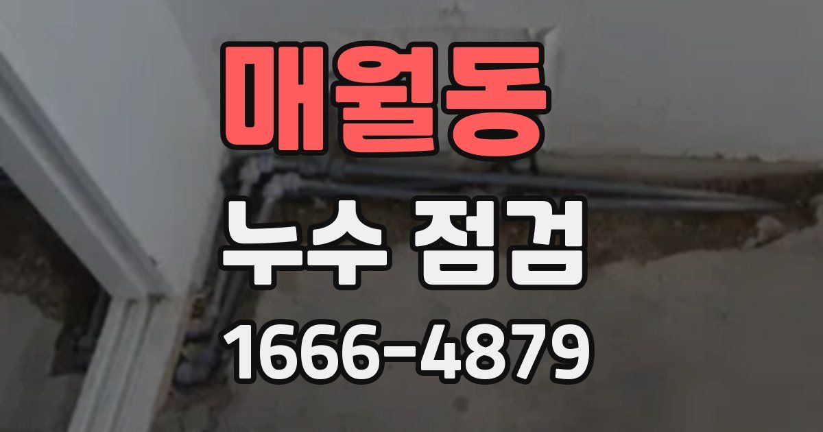매월동 누수 점검