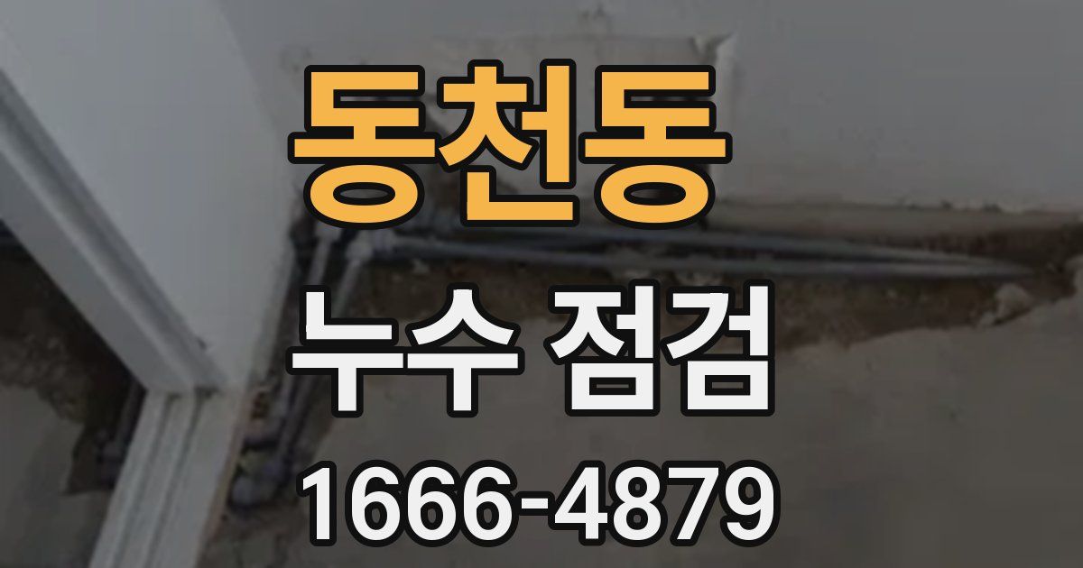 동천동 누수 점검