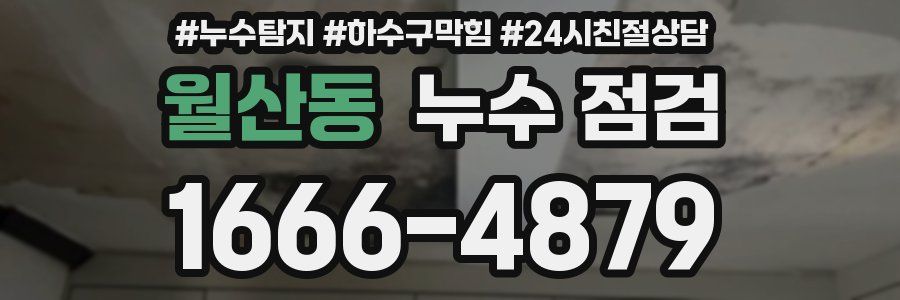 월산동 누수 점검