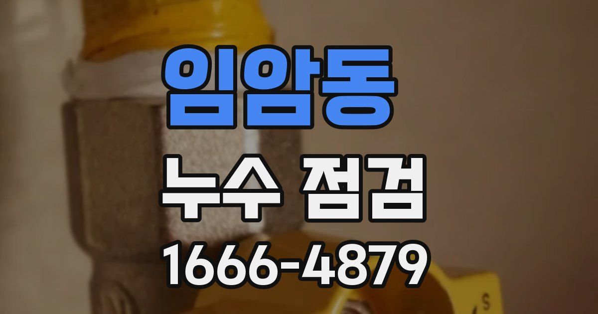 임암동 누수 점검