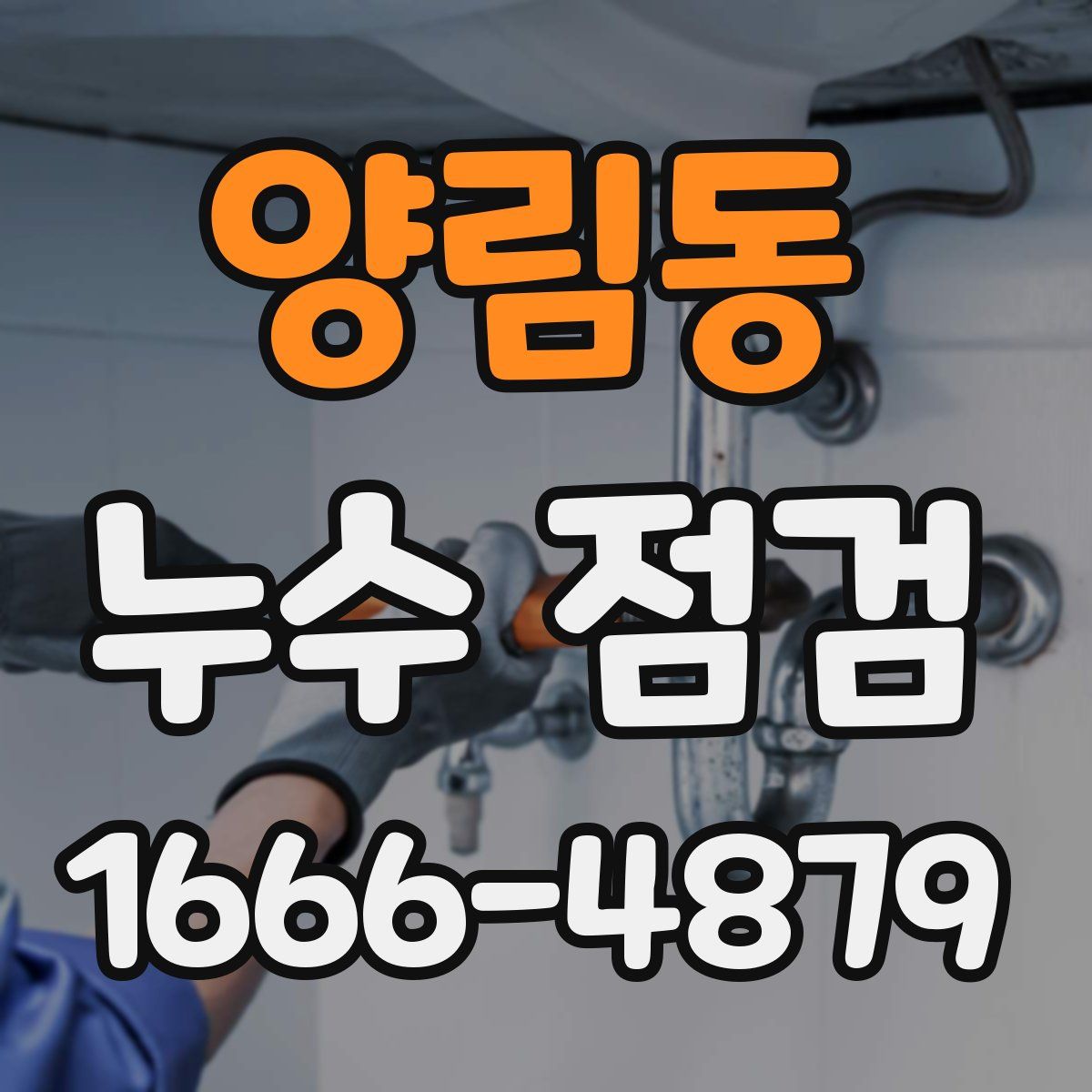 양림동 누수 점검