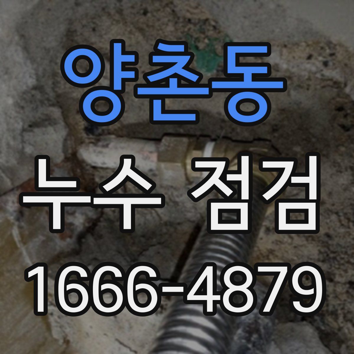 양촌동 누수 점검