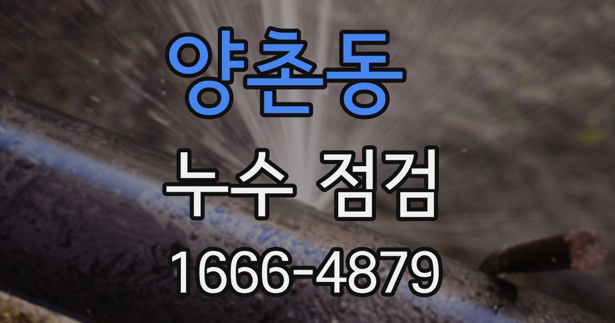 양촌동 누수 점검