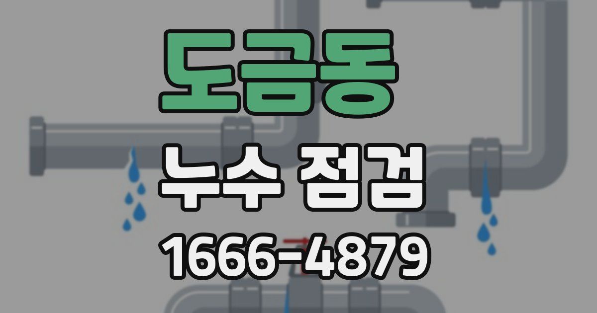 도금동 누수 점검