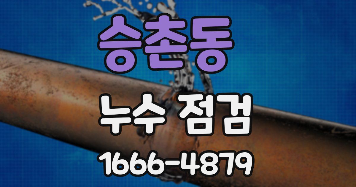 승촌동 누수 점검