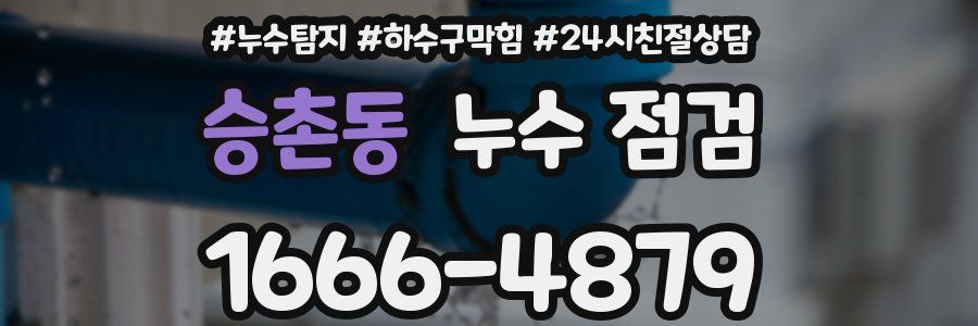 승촌동 누수 점검