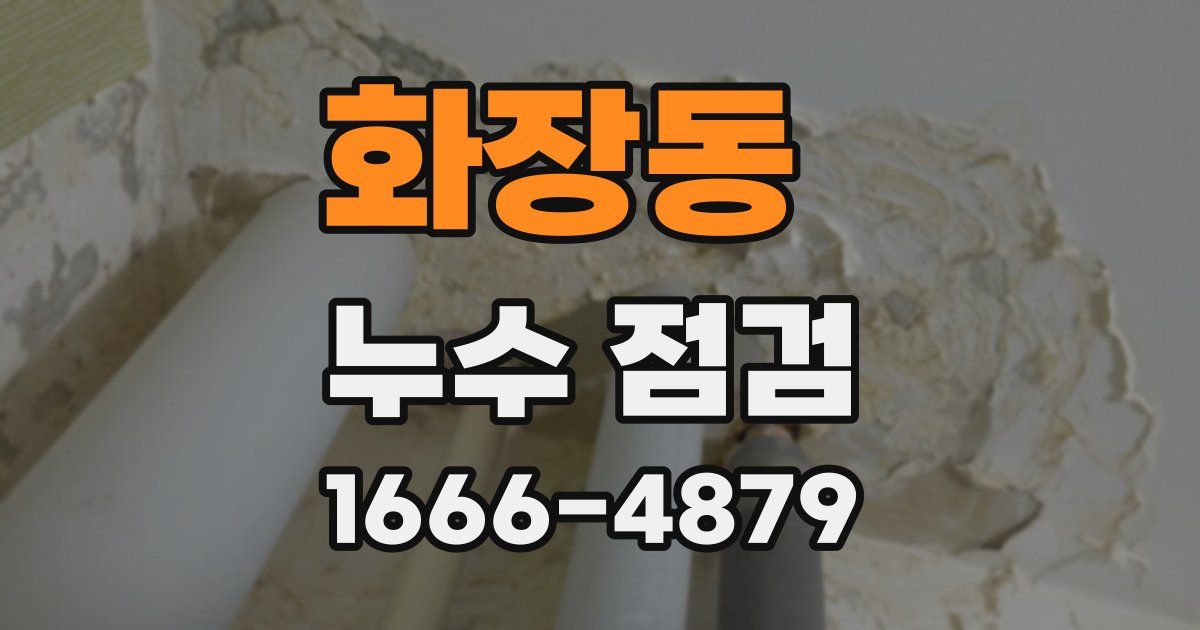 화장동 누수 점검