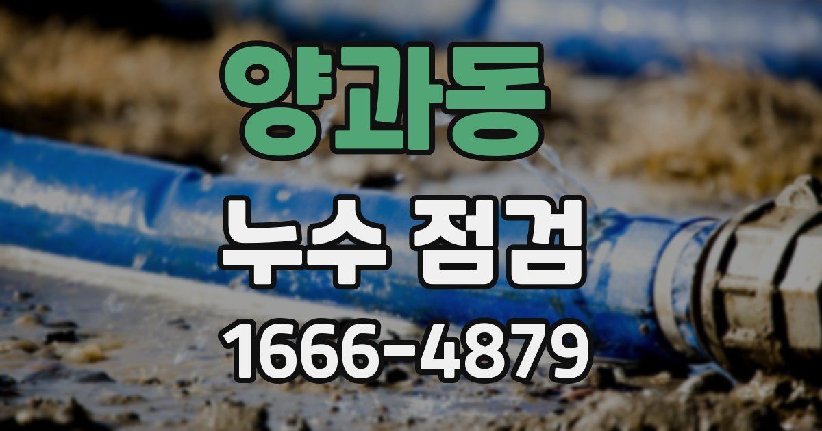 양과동 누수 점검