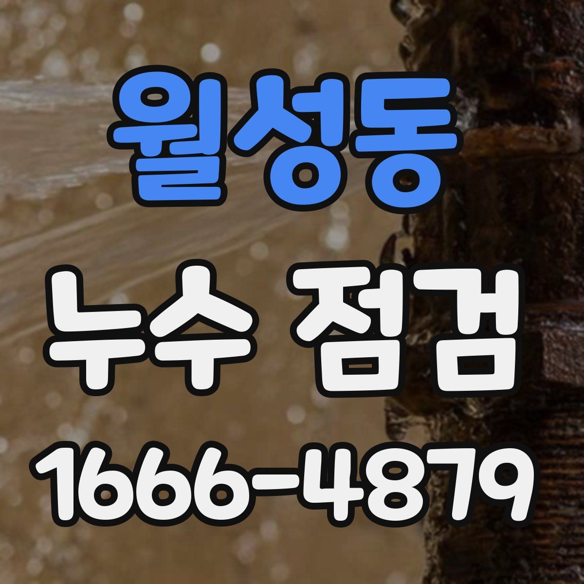 월성동 누수 점검
