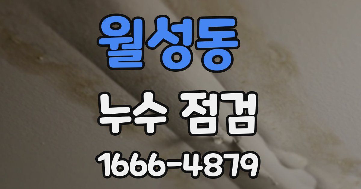 월성동 누수 점검