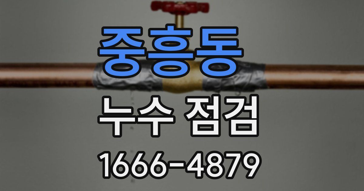 중흥동 누수 점검