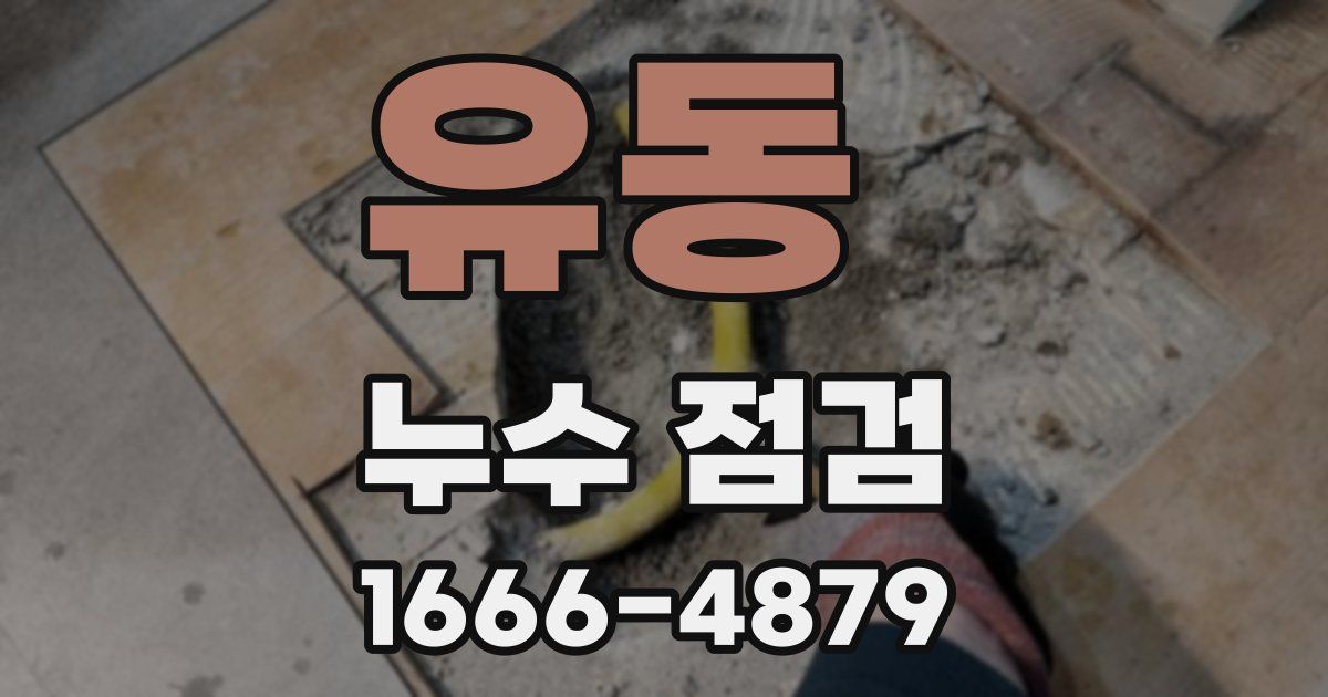유동 누수 점검