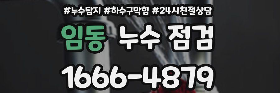 임동 누수 점검