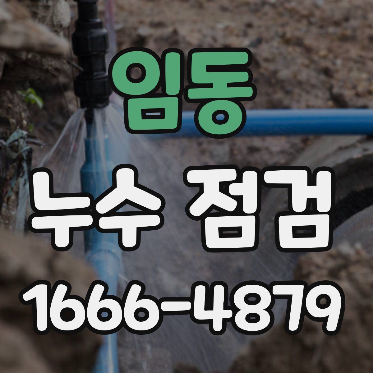 임동 누수 점검