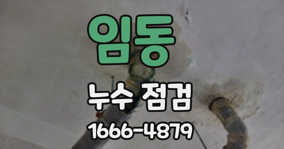 임동 누수 점검