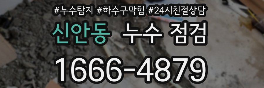 신안동 누수 점검
