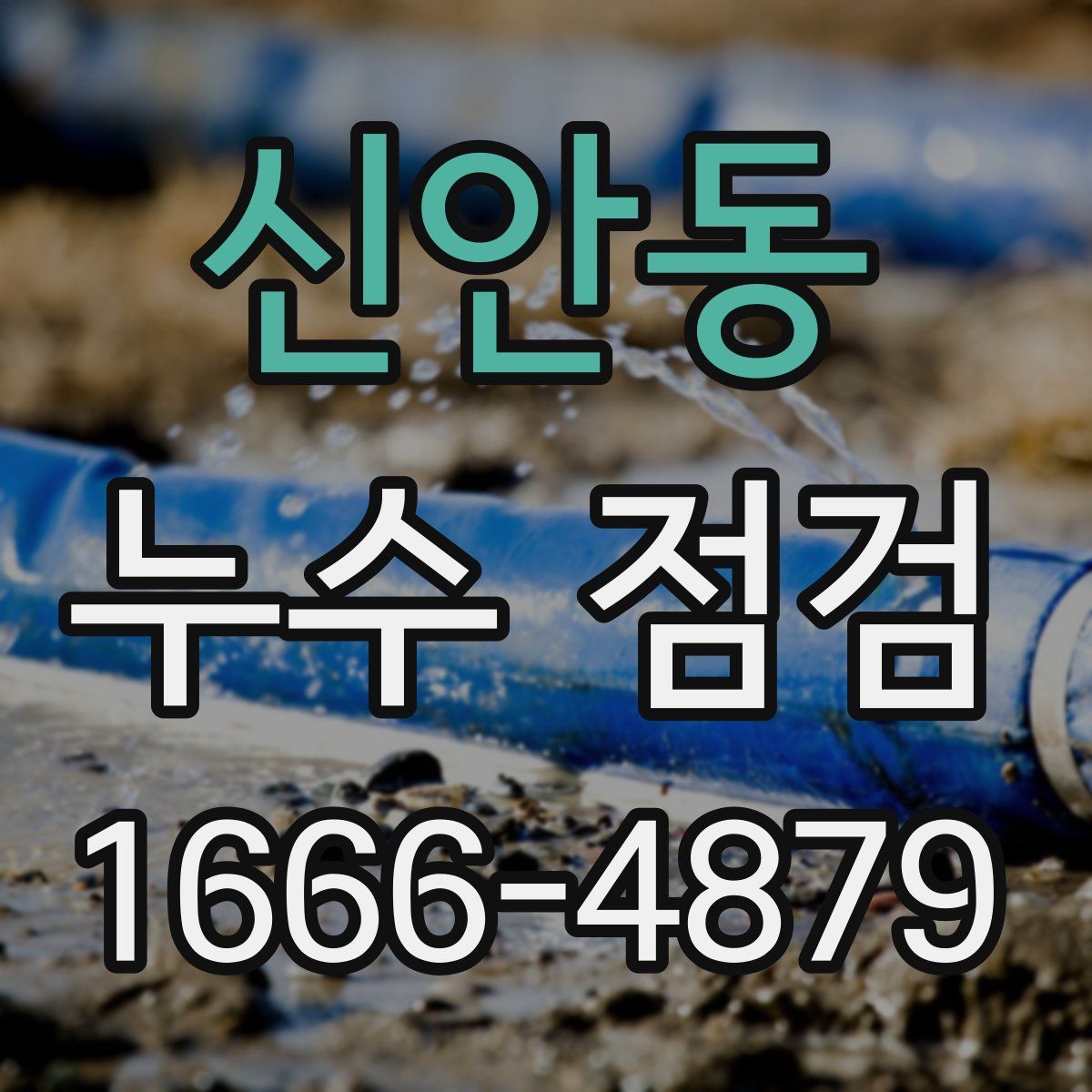신안동 누수 점검