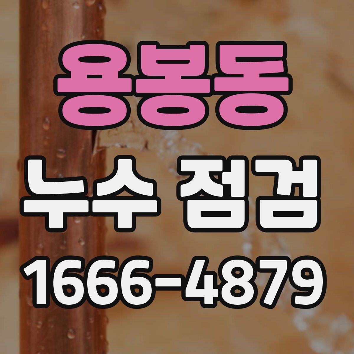 용봉동 누수 점검