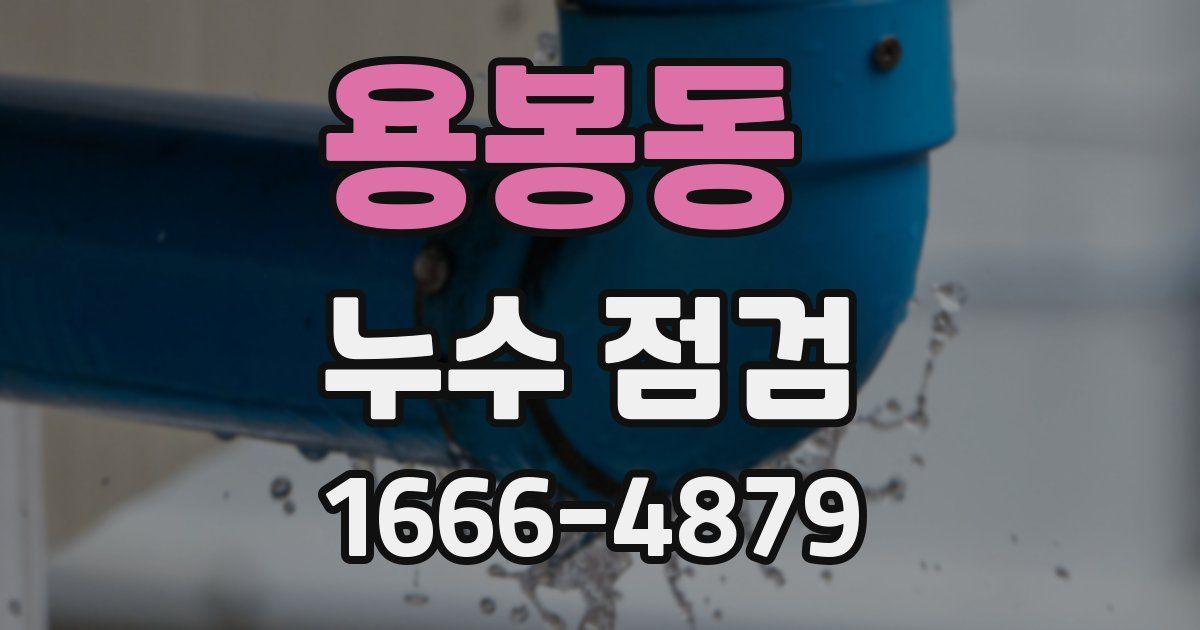 용봉동 누수 점검
