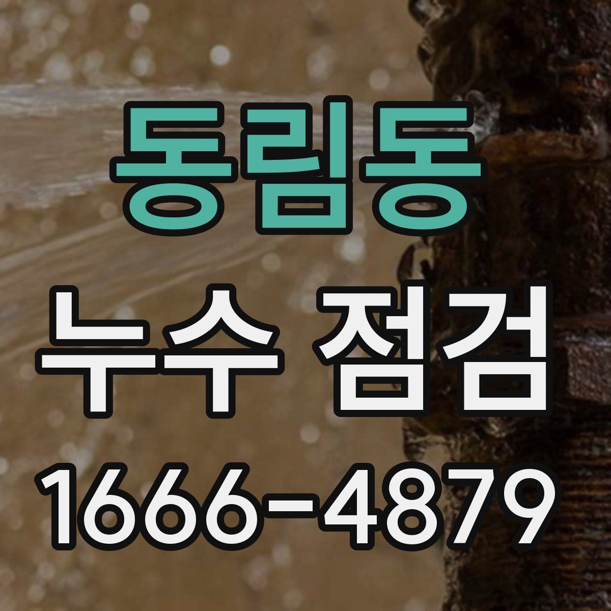 동림동 누수 점검