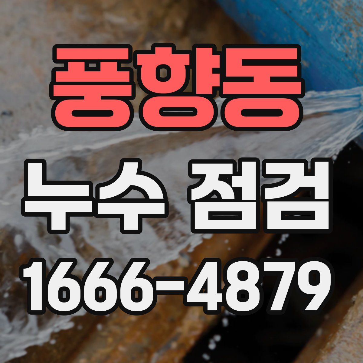 풍향동 누수 점검