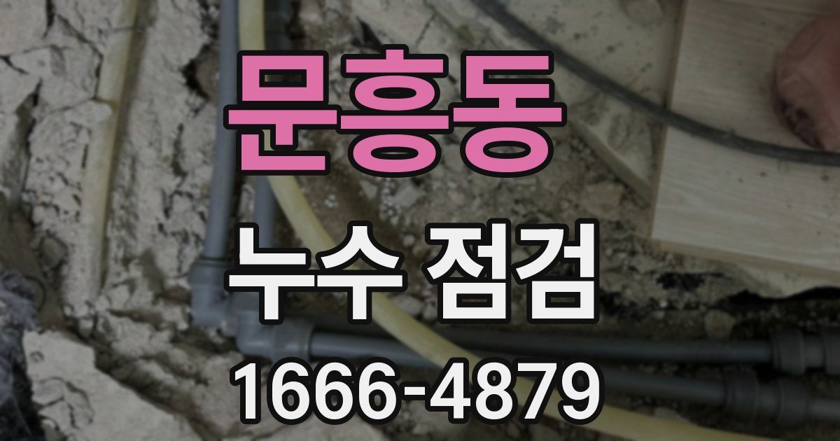 문흥동 누수 점검