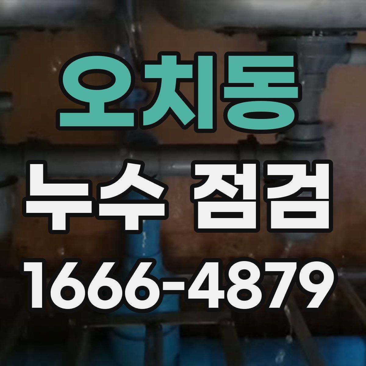 오치동 누수 점검