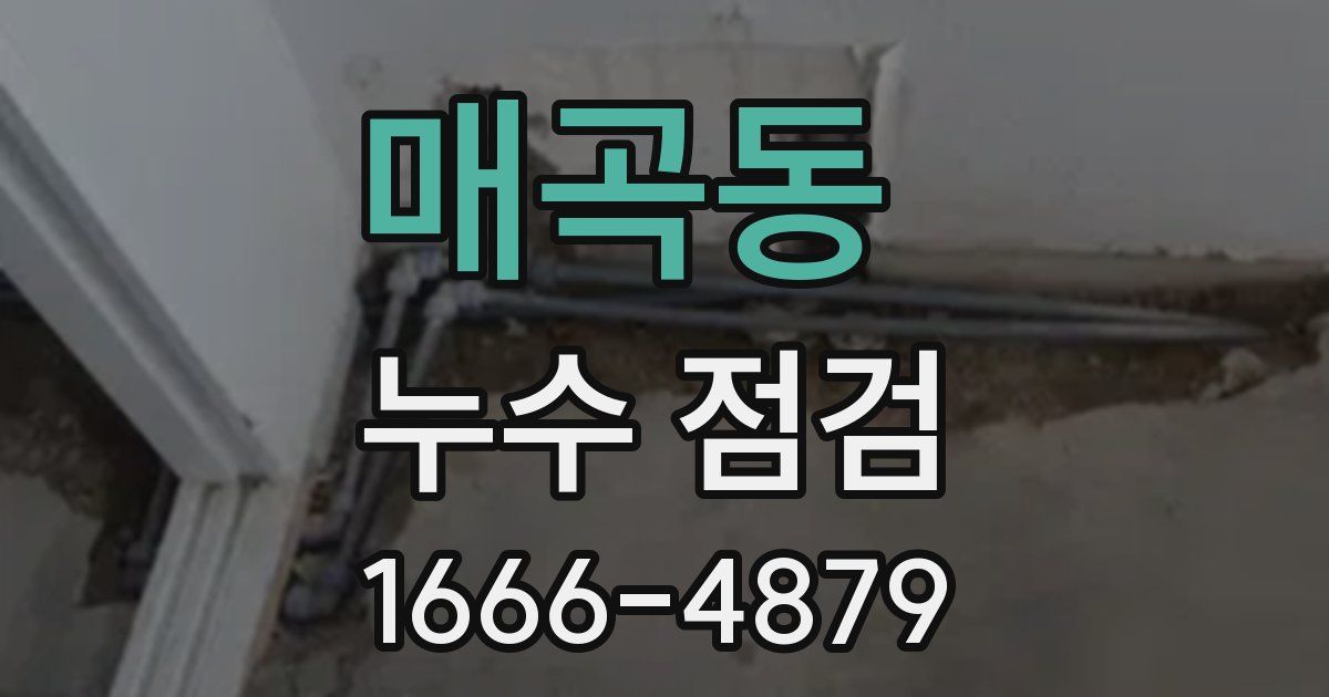 매곡동 누수 점검