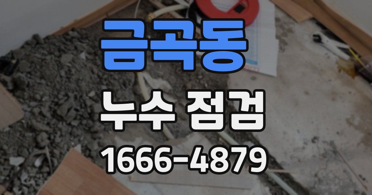금곡동 누수 점검