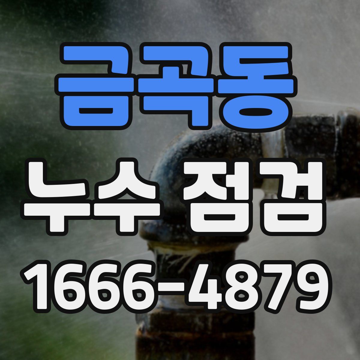금곡동 누수 점검