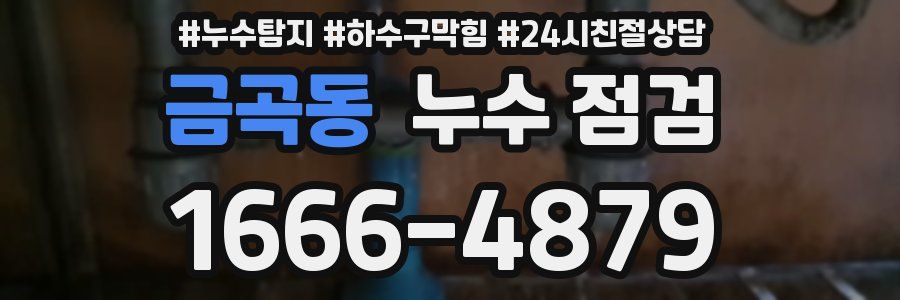 금곡동 누수 점검