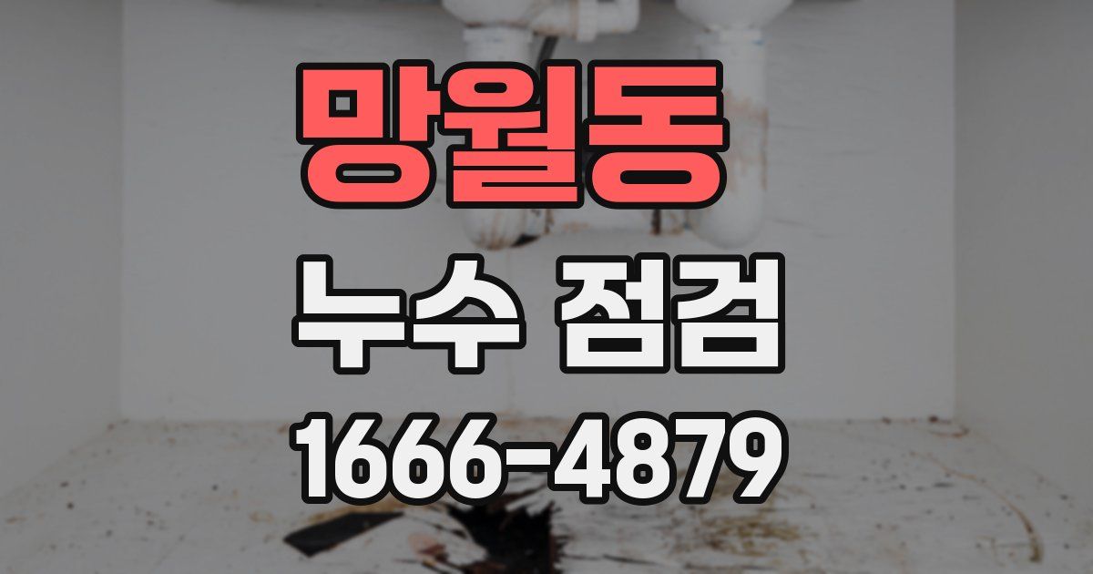 망월동 누수 점검