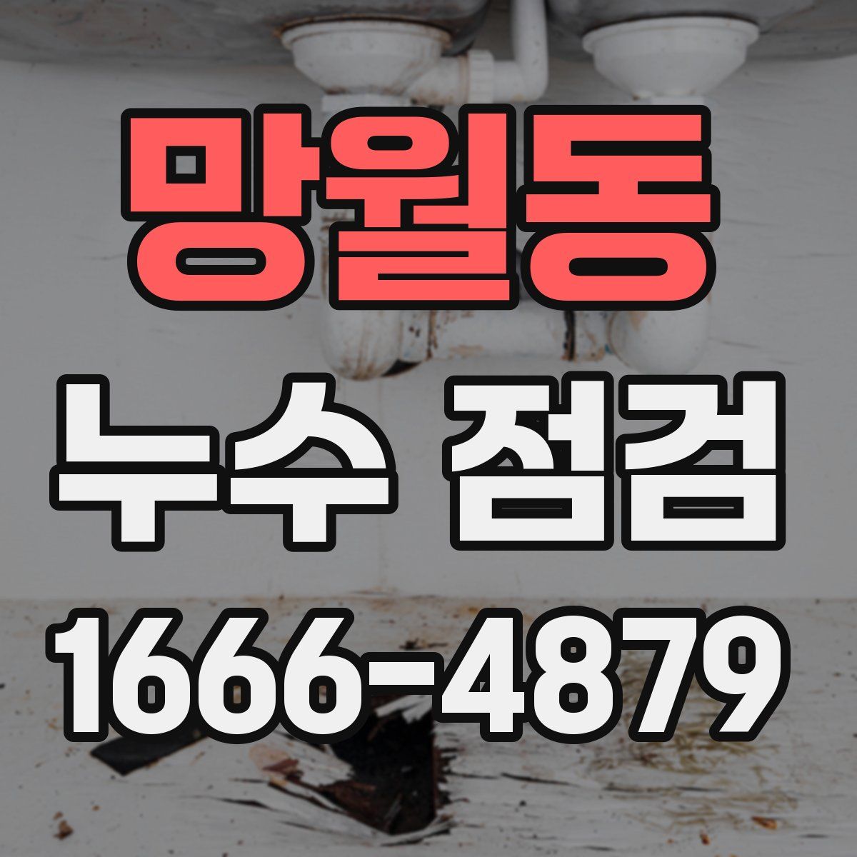 망월동 누수 점검