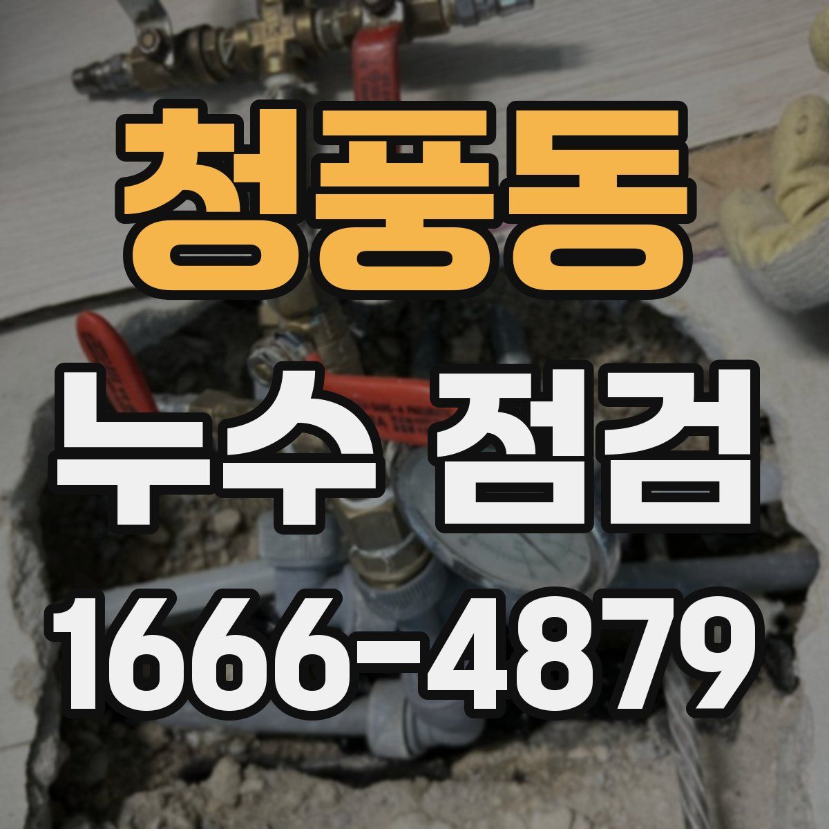 청풍동 누수 점검