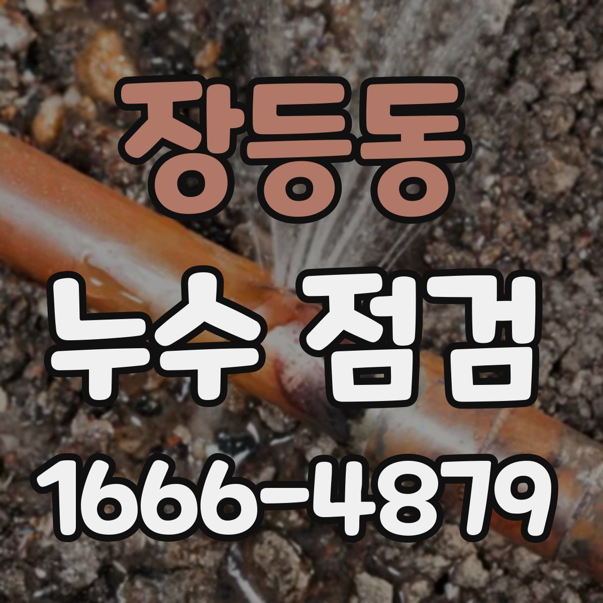 장등동 누수 점검