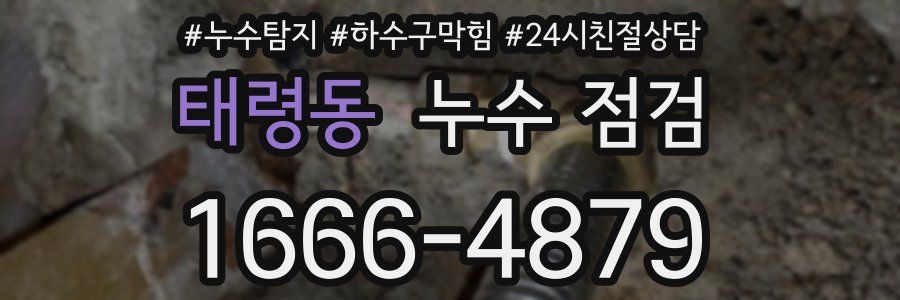 태령동 누수 점검