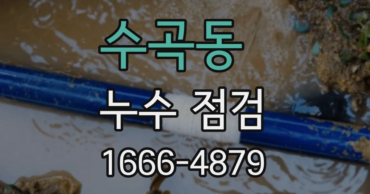 수곡동 누수 점검