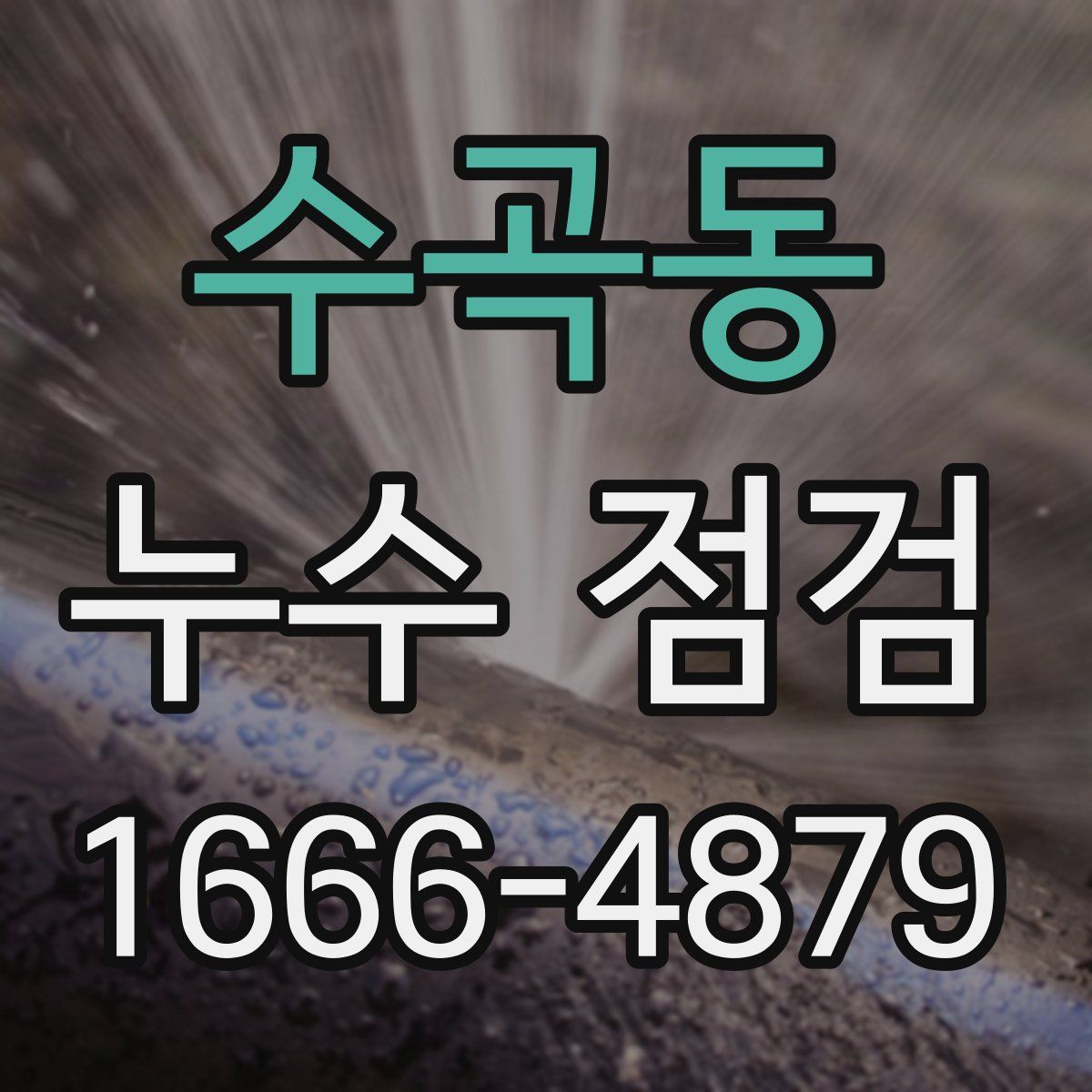 수곡동 누수 점검