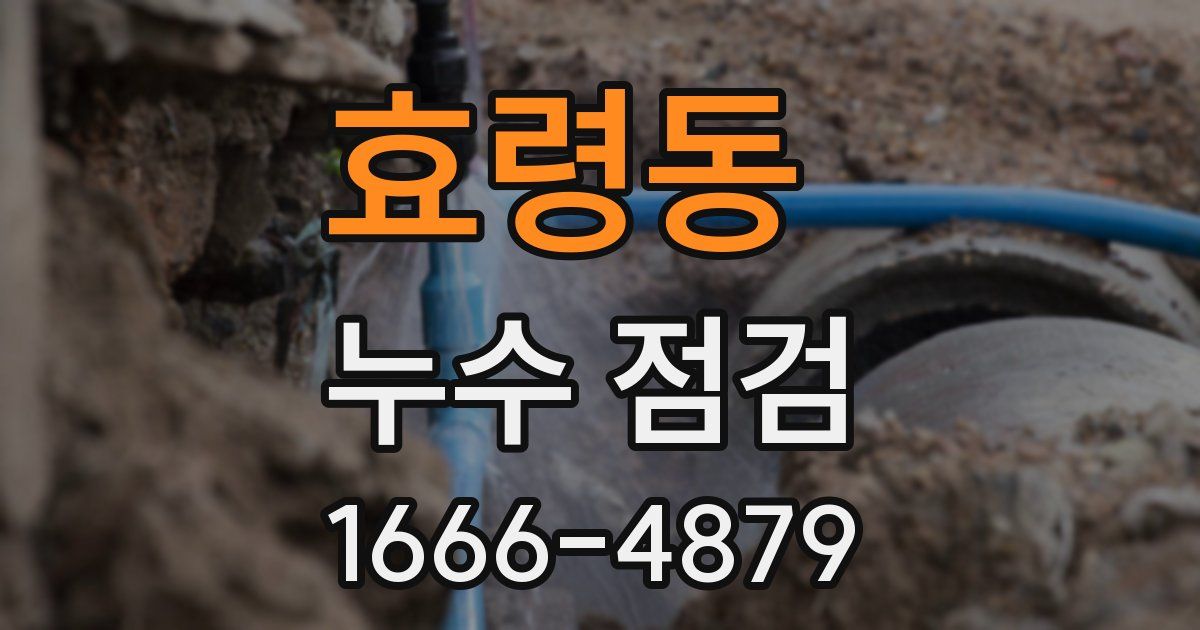 효령동 누수 점검