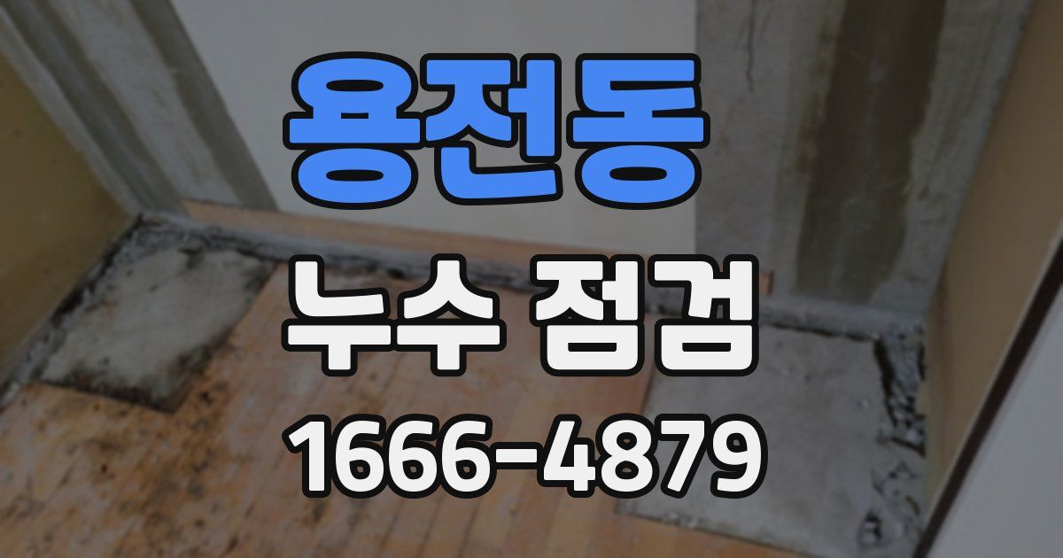용전동 누수 점검