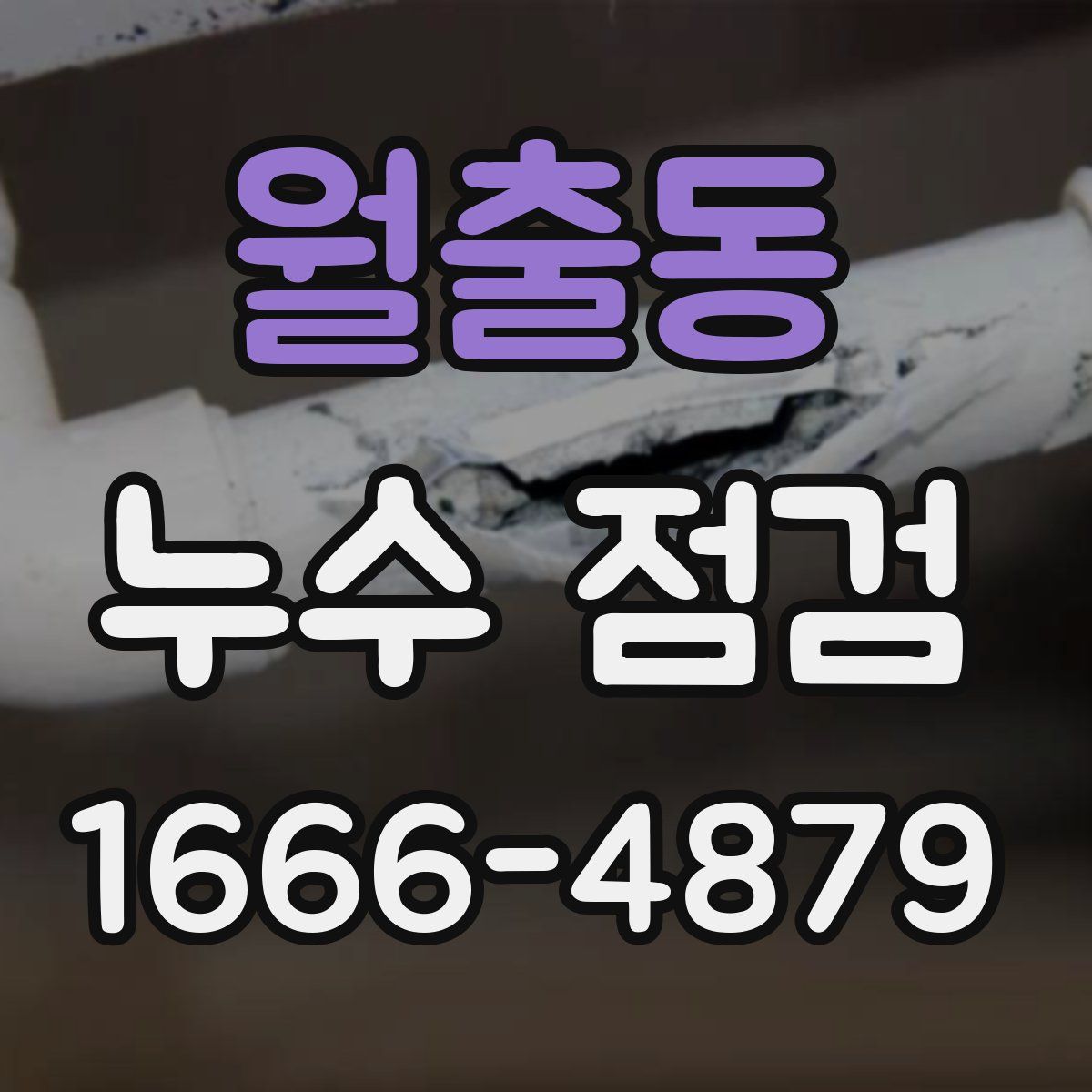 월출동 누수 점검