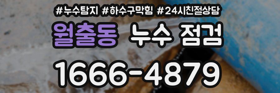 월출동 누수 점검