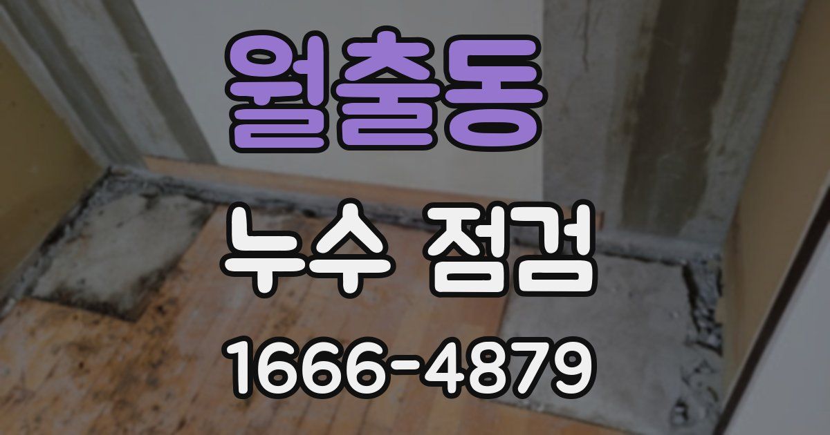 월출동 누수 점검