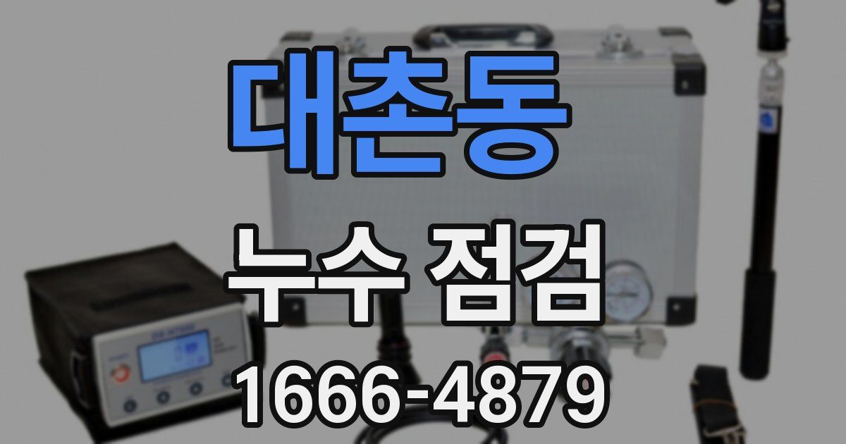 대촌동 누수 점검